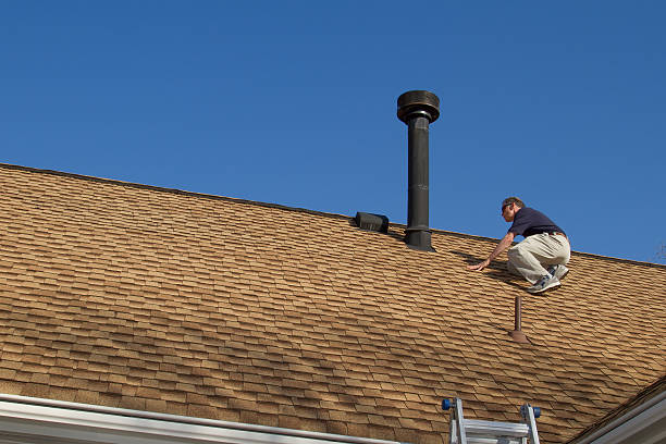 Best Roof Moss and Algae Removal  in Walters, OK